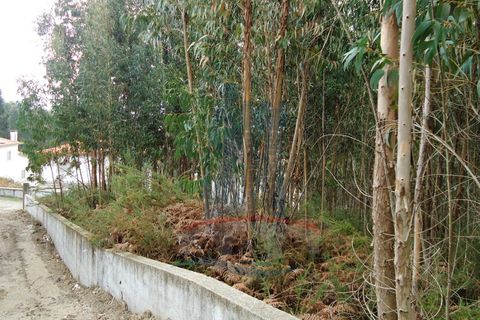 Helårsgrund i Ponte de Lima, Viana do Castelo, Ponte de Lima - € 37.000 | Ref: 4889 - foto 4
