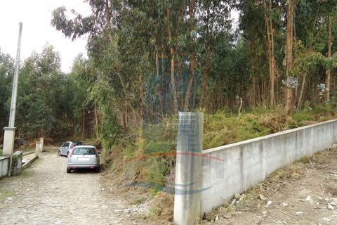 Helårsgrund i Ponte de Lima, Viana do Castelo, Ponte de Lima - € 37.000 | Ref: 4889 - foto 5
