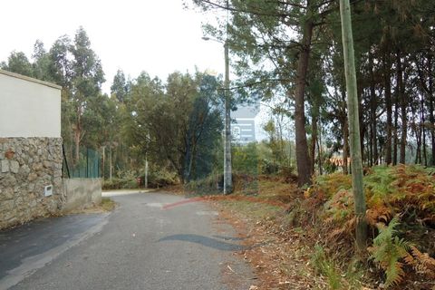 Helårsgrund i Ponte de Lima, Viana do Castelo, Ponte de Lima - € 37.000 | Ref: 4889 - foto 6