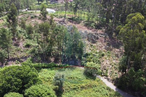 Helårsgrund i Ponte de Lima, Viana do Castelo, Ponte de Lima - € 19.000 | Ref: 5730 - foto 2