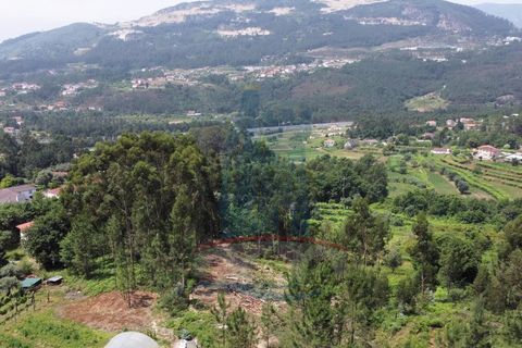 Helårsgrund i Ponte de Lima, Viana do Castelo, Ponte de Lima - € 19.000 | Ref: 5730 - foto 4