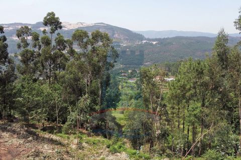 Helårsgrund i Ponte de Lima, Viana do Castelo, Ponte de Lima - € 19.000 | Ref: 5730 - foto 5