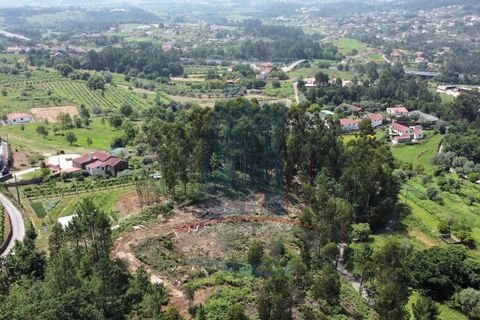 Helårsgrund i Ponte de Lima, Viana do Castelo, Ponte de Lima - € 19.000 | Ref: 5730 - foto 6