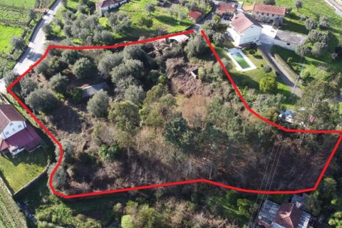 Ruinere i Ponte de Lima, Viana do Castelo, Ponte de Lima - € 130.000 | Ref: 4942 - foto 2