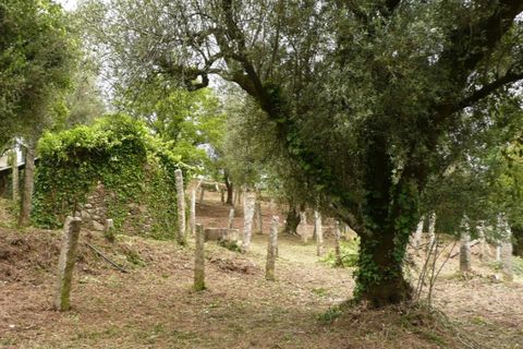 Ruinere i Ponte de Lima, Viana do Castelo, Ponte de Lima - € 130.000 | Ref: 4942 - foto 4