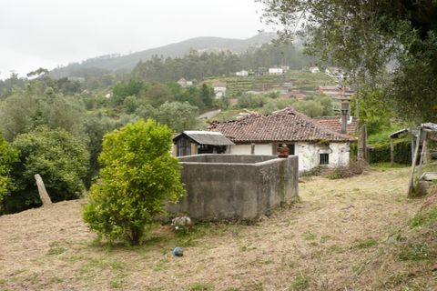 Ruinere i Ponte de Lima, Viana do Castelo, Ponte de Lima - € 130.000 | Ref: 4942 - foto 5