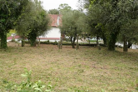 Ruinere i Ponte de Lima, Viana do Castelo, Ponte de Lima - € 130.000 | Ref: 4942 - foto 6