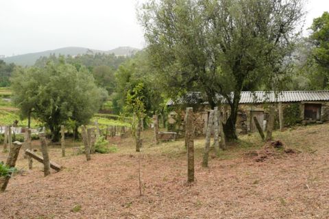 Ruinere i Ponte de Lima, Viana do Castelo, Ponte de Lima - € 130.000 | Ref: 4942 - foto 7