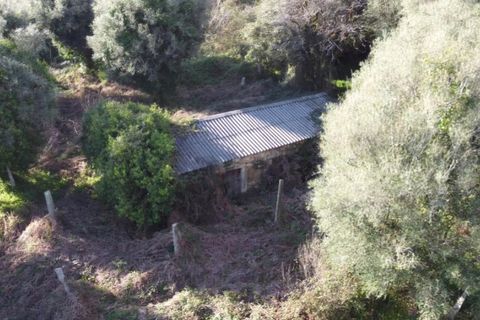 Ruinere i Ponte de Lima, Viana do Castelo, Ponte de Lima - € 130.000 | Ref: 4942 - foto 8