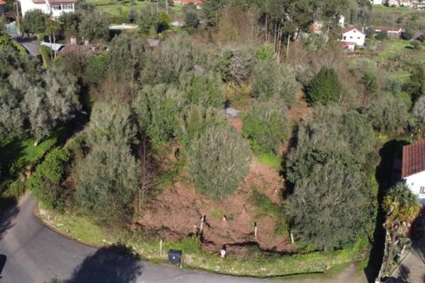 Ruinere i Ponte de Lima, Viana do Castelo, Ponte de Lima - € 130.000 | Ref: 4942 - foto 9