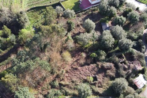 Ruinere i Ponte de Lima, Viana do Castelo, Ponte de Lima - € 130.000 | Ref: 4942 - foto 10