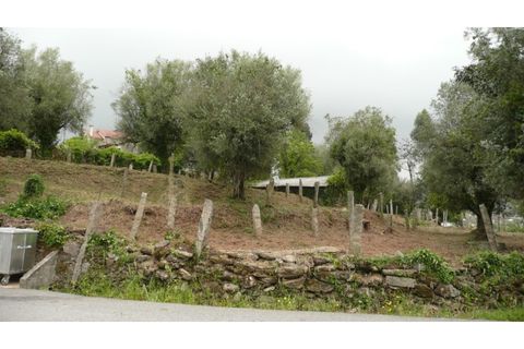Ruinere i Ponte de Lima, Viana do Castelo, Ponte de Lima - € 130.000 | Ref: 4942 - foto 11