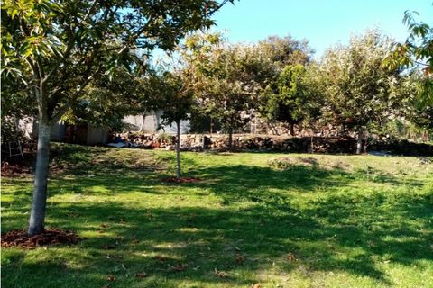 Helårsgrund i Ponte de Lima, Viana do Castelo, Ponte de Lima - € 48.000 | Ref: 5446 - foto 2