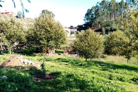 Helårsgrund i Ponte de Lima, Viana do Castelo, Ponte de Lima - € 48.000 | Ref: 5446 - foto 3