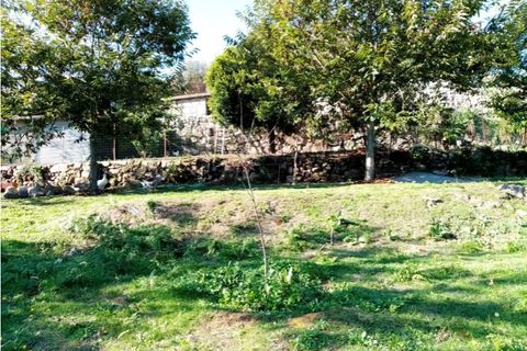 Helårsgrund i Ponte de Lima, Viana do Castelo, Ponte de Lima - € 48.000 | Ref: 5446 - foto 4