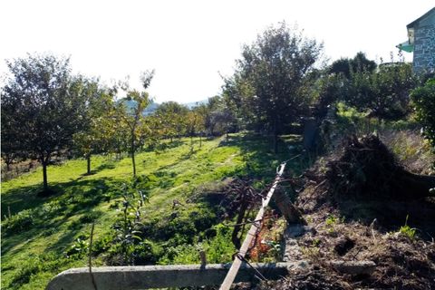 Helårsgrund i Ponte de Lima, Viana do Castelo, Ponte de Lima - € 48.000 | Ref: 5446 - foto 5