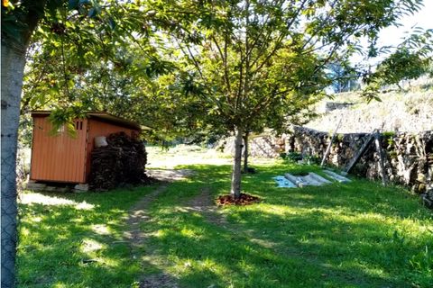 Helårsgrund i Ponte de Lima, Viana do Castelo, Ponte de Lima - € 48.000 | Ref: 5446 - foto 6