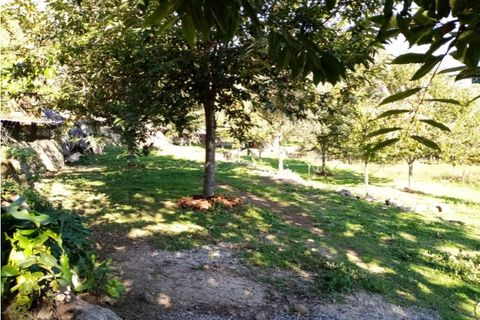 Helårsgrund i Ponte de Lima, Viana do Castelo, Ponte de Lima - € 48.000 | Ref: 5446 - foto 7