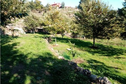 Helårsgrund i Ponte de Lima, Viana do Castelo, Ponte de Lima - € 48.000 | Ref: 5446 - foto 8
