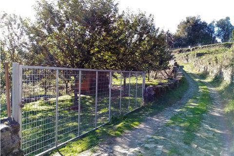 Helårsgrund i Ponte de Lima, Viana do Castelo, Ponte de Lima - € 48.000 | Ref: 5446 - foto 9
