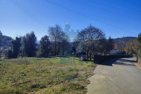 Helårsgrund i Ponte de Lima, Viana do Castelo, Ponte de Lima - € 39.000 | Ref: 5663 - foto 2