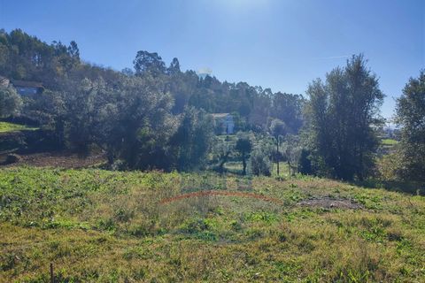 Helårsgrund i Ponte de Lima, Viana do Castelo, Ponte de Lima - € 39.000 | Ref: 5663 - foto 3