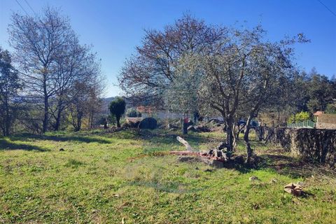 Helårsgrund i Ponte de Lima, Viana do Castelo, Ponte de Lima - € 39.000 | Ref: 5663 - foto 4