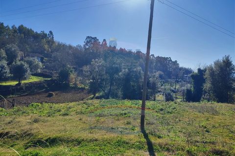 Helårsgrund i Ponte de Lima, Viana do Castelo, Ponte de Lima - € 39.000 | Ref: 5663 - foto 5