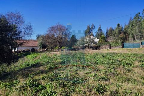 Helårsgrund i Ponte de Lima, Viana do Castelo, Ponte de Lima - € 39.000 | Ref: 5663 - foto 6