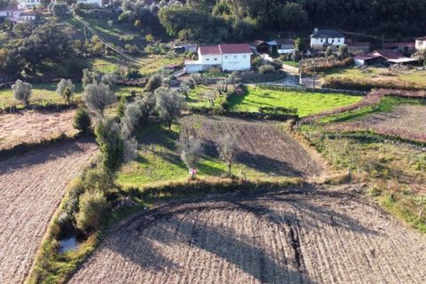 Helårsgrund i Ponte de Lima, Viana do Castelo, Ponte de Lima - € 56.000 | Ref: 5289 - foto 3