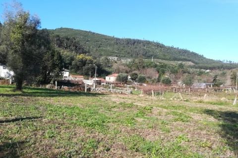 Helårsgrund i Ponte de Lima, Viana do Castelo, Ponte de Lima - € 56.000 | Ref: 5289 - foto 4