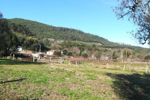Helårsgrund i Ponte de Lima, Viana do Castelo, Ponte de Lima - € 56.000 | Ref: 5289 - foto 5