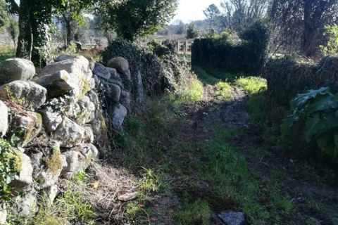 Helårsgrund i Ponte de Lima, Viana do Castelo, Ponte de Lima - € 56.000 | Ref: 5289 - foto 6
