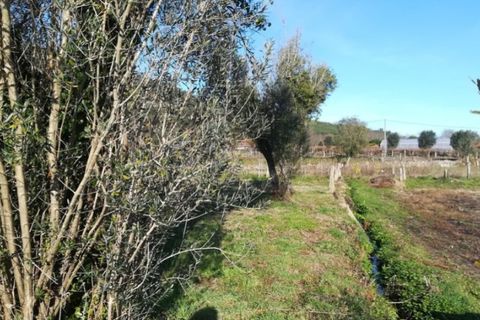 Helårsgrund i Ponte de Lima, Viana do Castelo, Ponte de Lima - € 56.000 | Ref: 5289 - foto 7