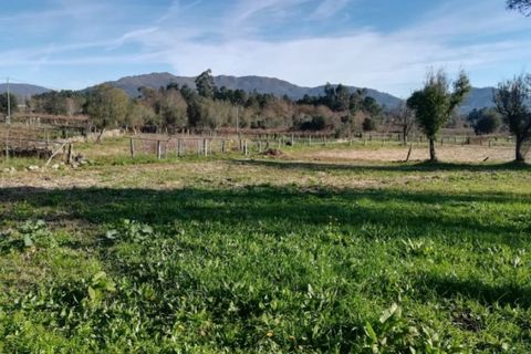 Helårsgrund i Ponte de Lima, Viana do Castelo, Ponte de Lima - € 56.000 | Ref: 5289 - foto 8