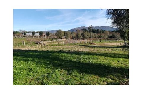 Helårsgrund i Ponte de Lima, Viana do Castelo, Ponte de Lima - € 56.000 | Ref: 5289 - foto 9