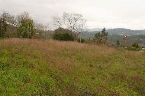 Helårsgrund i Ponte de Lima, Viana do Castelo, Ponte de Lima - € 120.000 | Ref: 4960 - foto 3