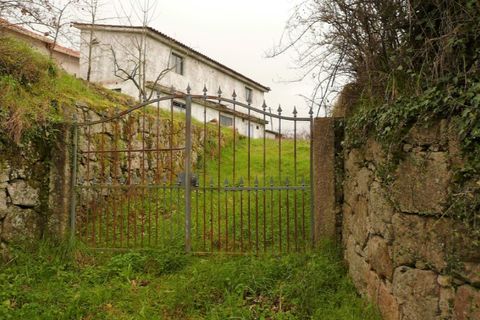 Helårsgrund i Ponte de Lima, Viana do Castelo, Ponte de Lima - € 120.000 | Ref: 4960 - foto 8