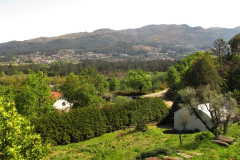 Farm i Ponte de Lima, Viana do Castelo, Ponte de Lima - € 750.000 | Ref: 5391 - foto 17
