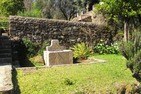 Farm i Ponte de Lima, Viana do Castelo, Ponte de Lima - € 750.000 | Ref: 5391 - foto 18