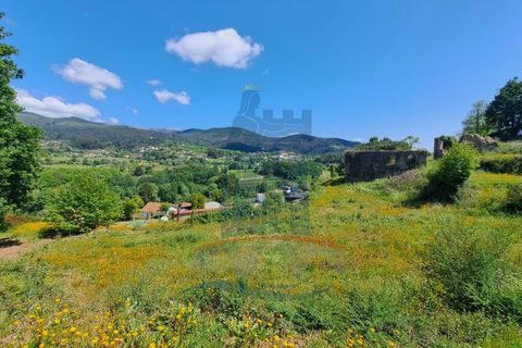 Ruinere i Ponte de Lima, Viana do Castelo, Ponte de Lima - € 98.000 | Ref: 5285 - foto 3