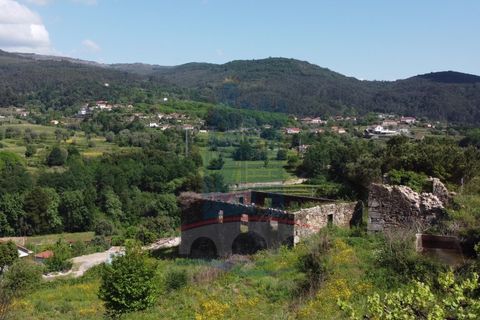 Ruinere i Ponte de Lima, Viana do Castelo, Ponte de Lima - € 98.000 | Ref: 5285 - foto 4
