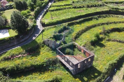 Ruinere i Ponte de Lima, Viana do Castelo, Ponte de Lima - € 98.000 | Ref: 5285 - foto 5