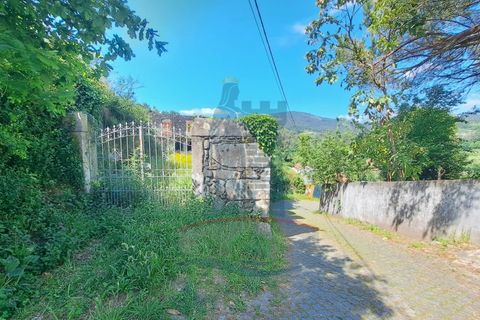 Ruinere i Ponte de Lima, Viana do Castelo, Ponte de Lima - € 98.000 | Ref: 5285 - foto 10