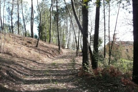 Helårsgrund i Ponte de Lima, Viana do Castelo, Ponte de Lima - € 170.000 | Ref: 4927 - foto 2