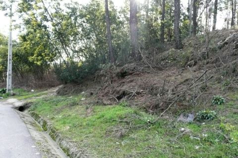 Helårsgrund i Ponte de Lima, Viana do Castelo, Ponte de Lima - € 170.000 | Ref: 4927 - foto 4