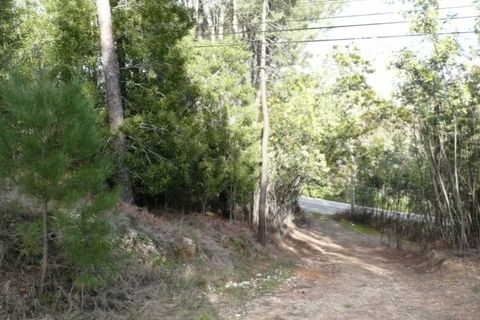 Helårsgrund i Ponte de Lima, Viana do Castelo, Ponte de Lima - € 170.000 | Ref: 4927 - foto 5