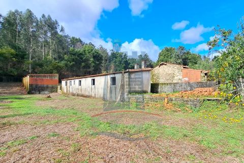 Villa i Ponte de Lima, Viana do Castelo, Ponte de Lima - € 99.000 | Ref: 6105 - foto 2