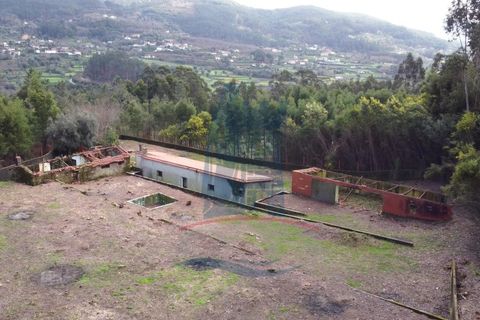 Villa i Ponte de Lima, Viana do Castelo, Ponte de Lima - € 99.000 | Ref: 6105 - foto 3