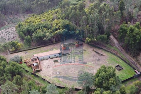 Villa i Ponte de Lima, Viana do Castelo, Ponte de Lima - € 99.000 | Ref: 6105 - foto 4